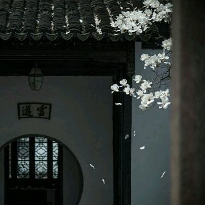 魔霸大陆手游九游版下载